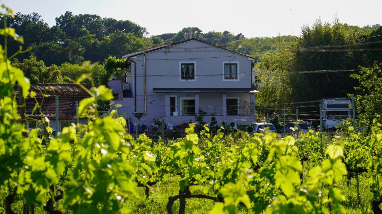 Bed and Breakfast Wine House Капаннори Экстерьер фото