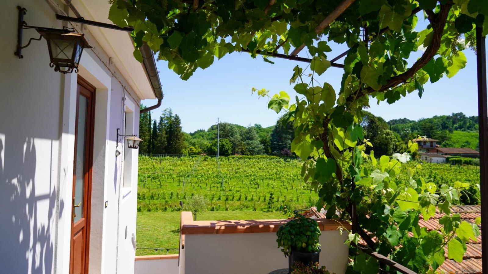 Bed and Breakfast Wine House Капаннори Экстерьер фото